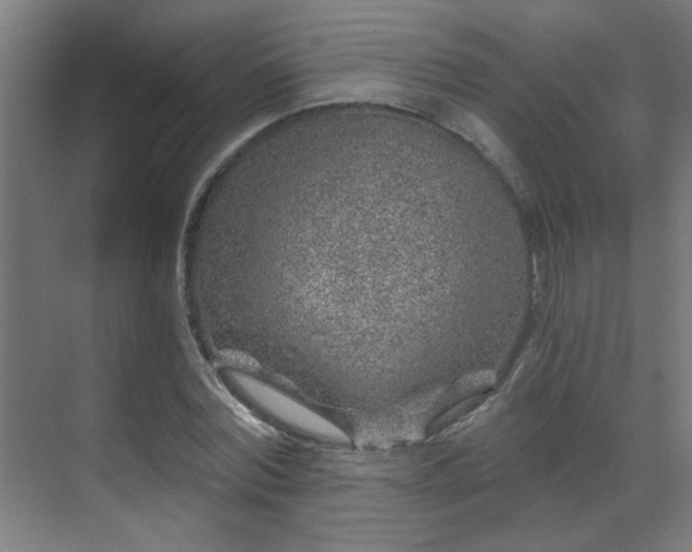 X0000071340780200606261314