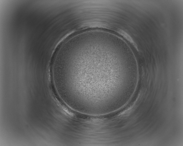 X0000071340782200606261314