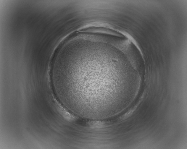 X0000071340783200606261314