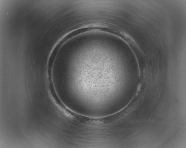 X0000071340784200606261314