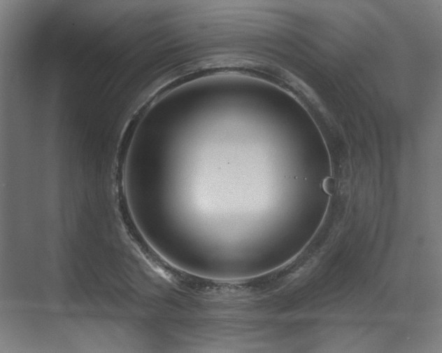 X0000071340786200606261314