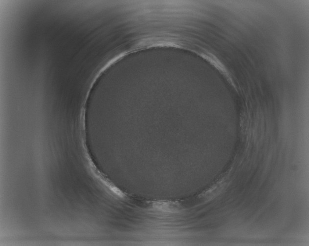 X0000071340790200606261314