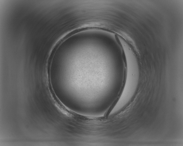 X0000071340792200606261314