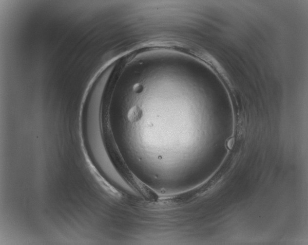 X0000071340795200606261314