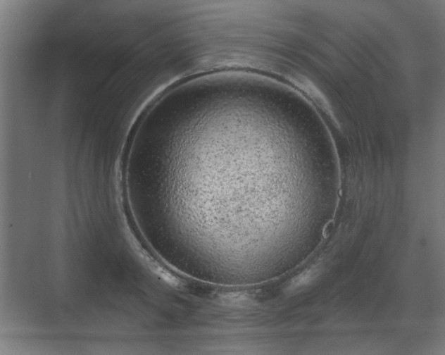 X0000071340798200606261314