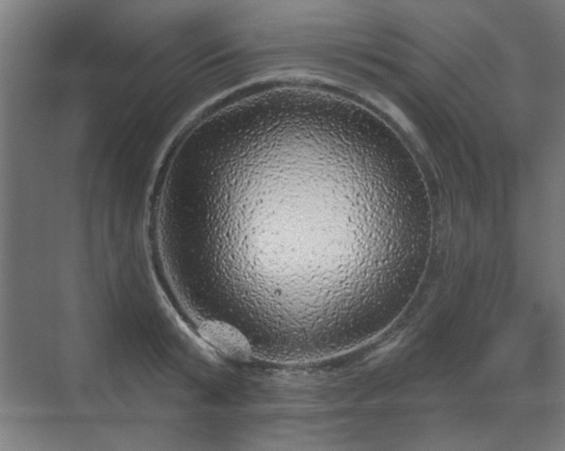 X0000071340799200606261314