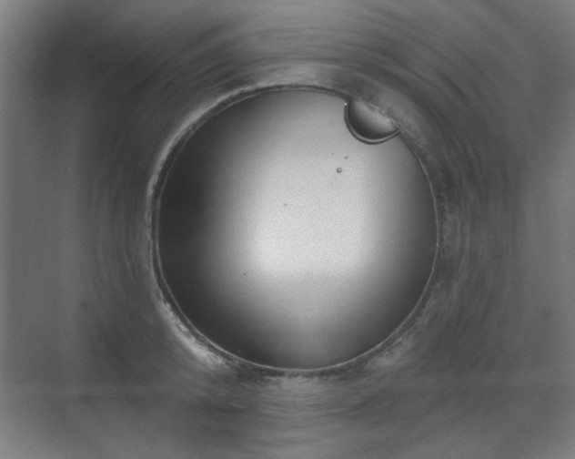 X0000071340800200606261314