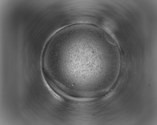 X0000071340803200606261314