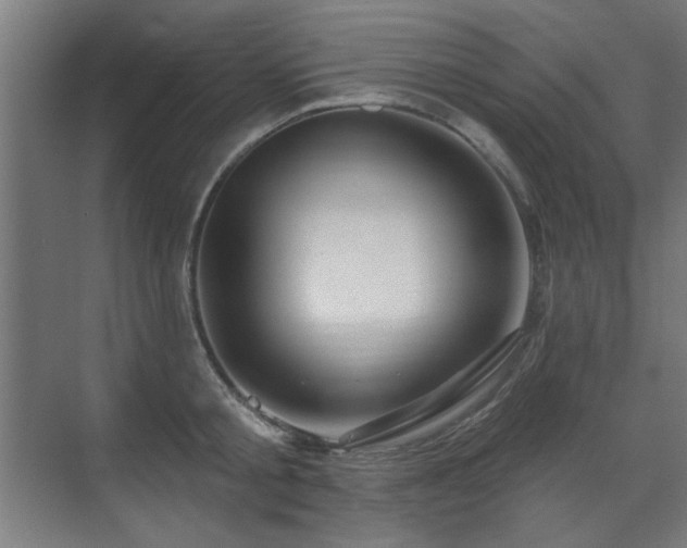 X0000071340805200606261314