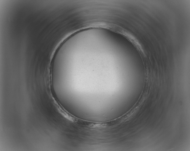 X0000071340808200606261314