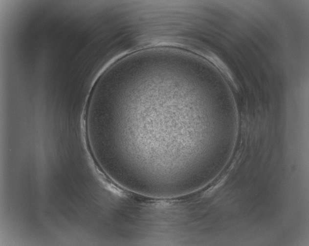 X0000071340814200606261314