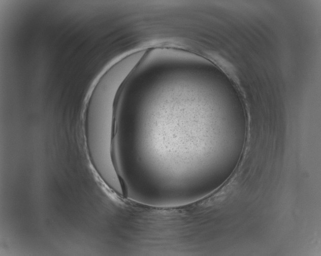 X0000071340816200606261314