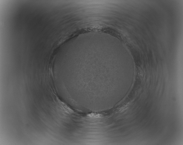 X0000071340818200606261313