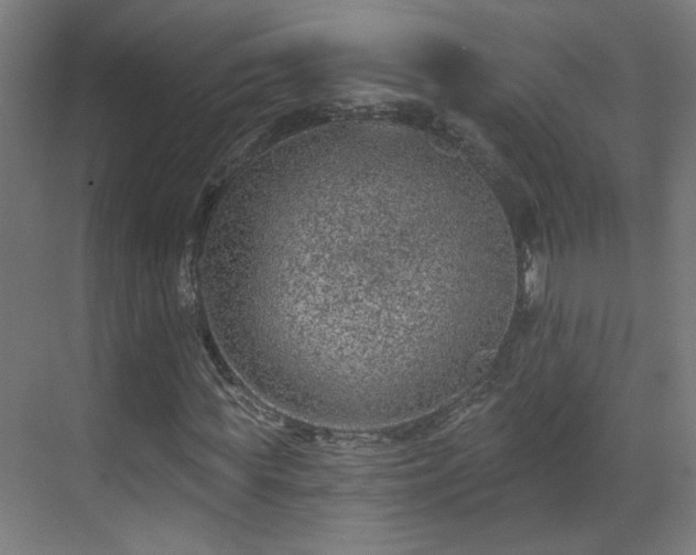 X0000071340819200606261313