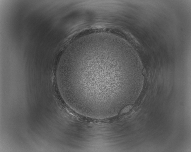 X0000071340821200606261313