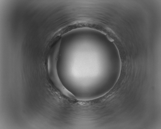 X0000071340822200606261313