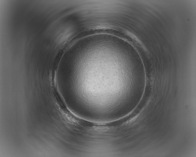 X0000071340825200606261313