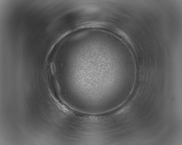 X0000071340827200606261313