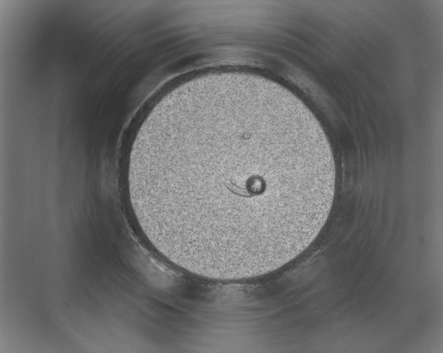 X0000071340828200606261313