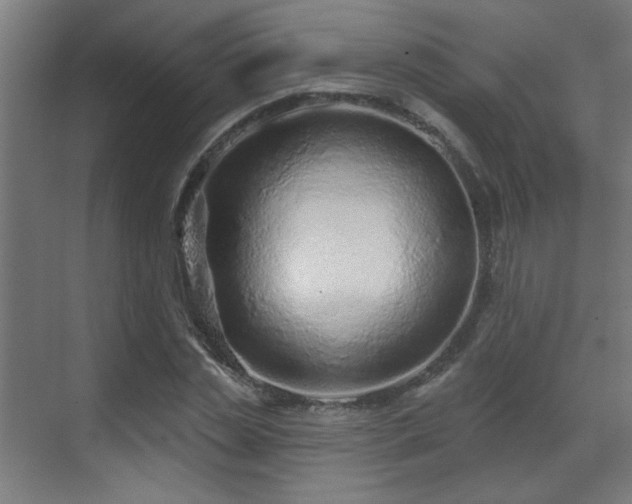 X0000071340829200606261313