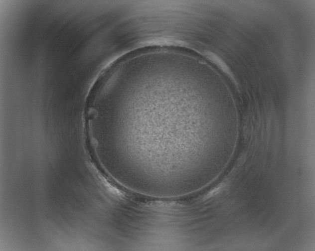 X0000071340831200606261313