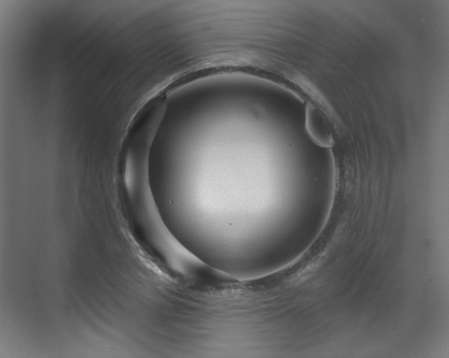 X0000071340834200606261313