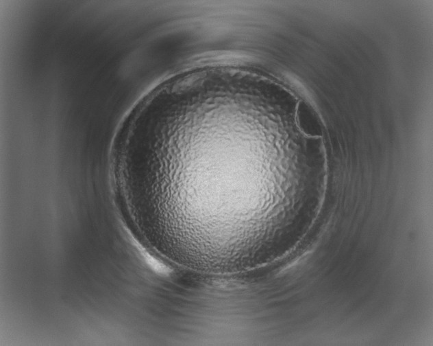 X0000071340835200606261313