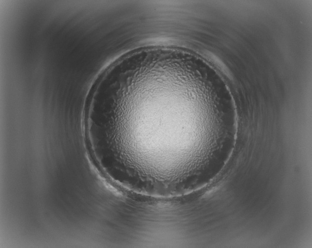 X0000071340839200606261313