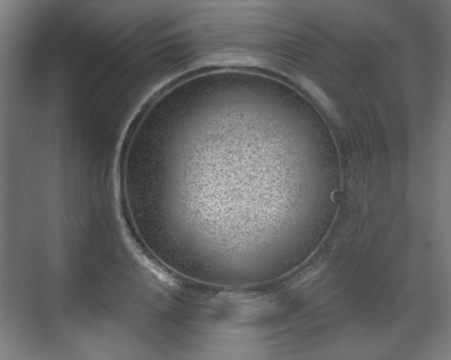 X0000071340840200606261313