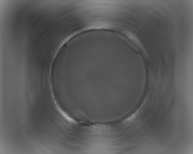 X0000071340842200606261313