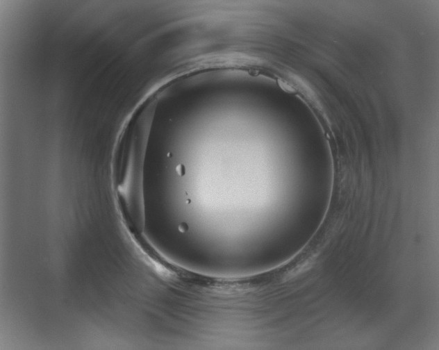 X0000071340843200606261313