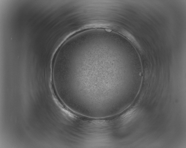 X0000071340844200606261313