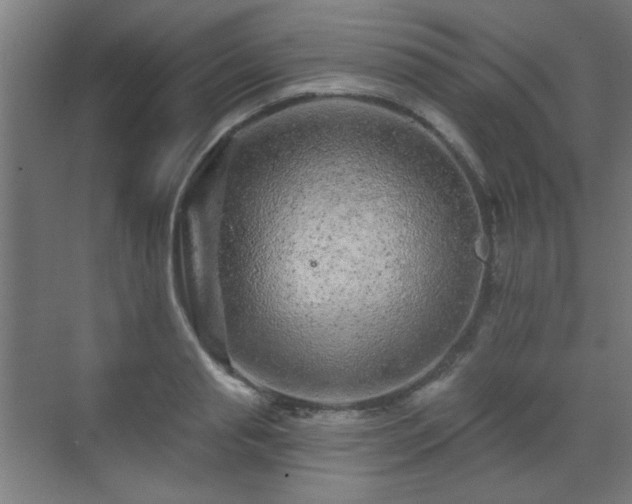 X0000071340845200606261313