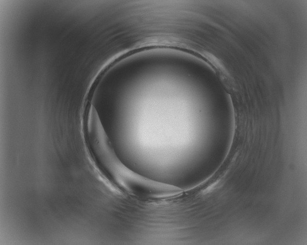 X0000071340846200606261313