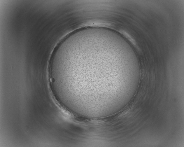 X0000071340848200606261314