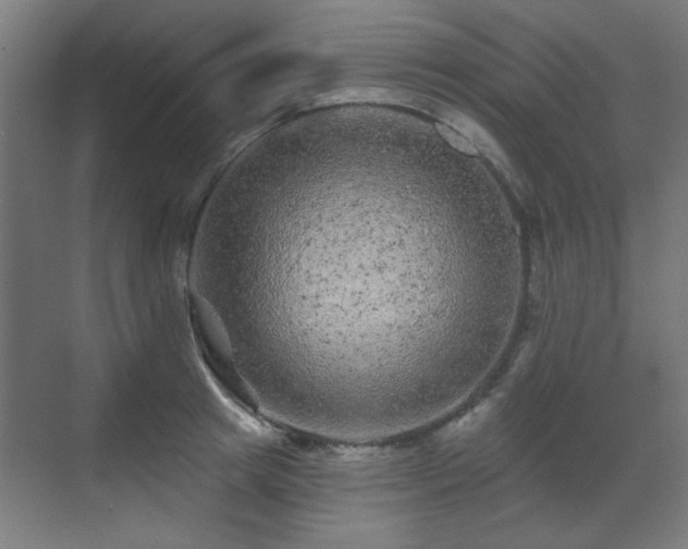 X0000071340849200606261314