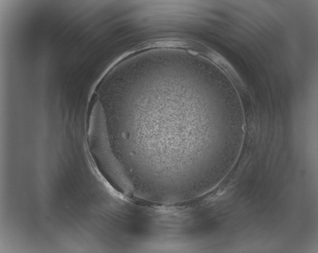 X0000071340852200606261314