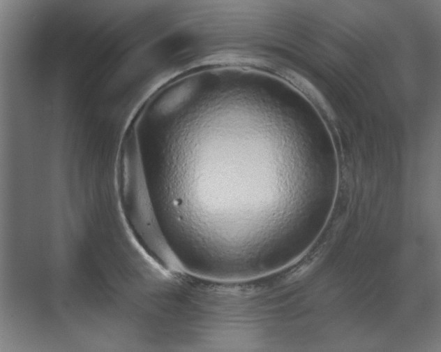 X0000071340855200606261314