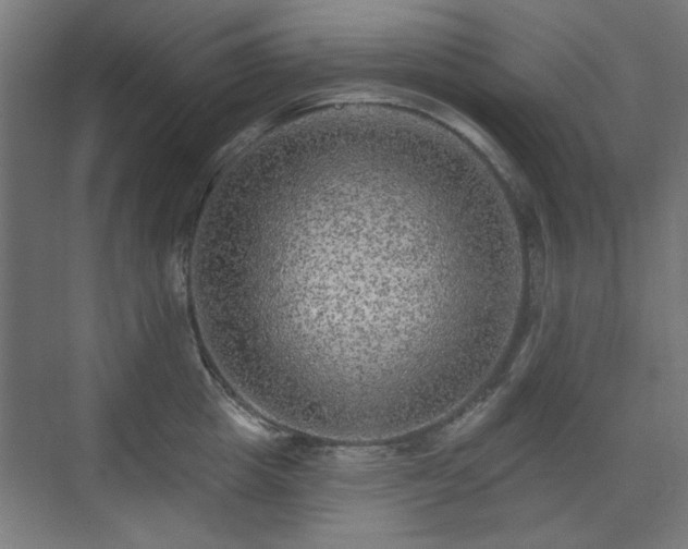 X0000071340857200606261314