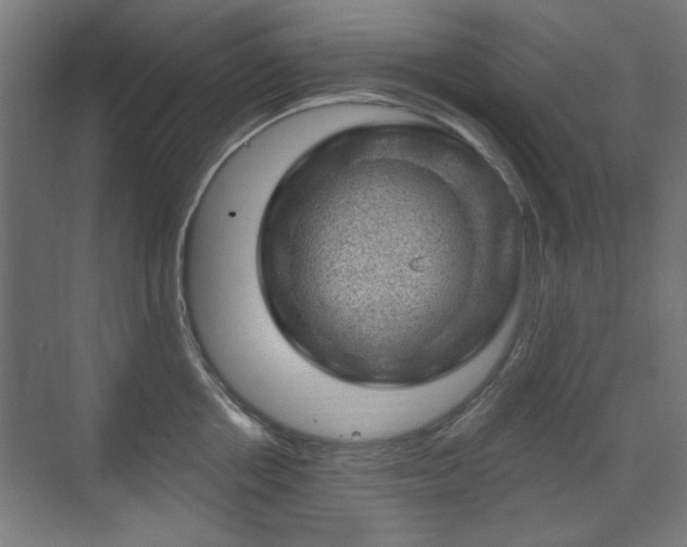 X0000071340858200606261314