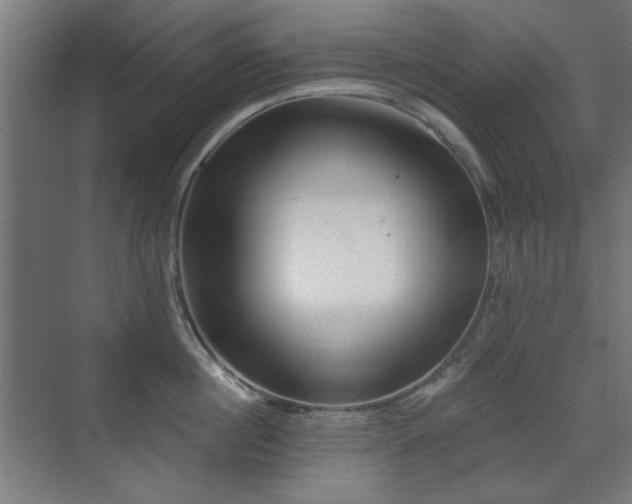 X0000071340860200606261314