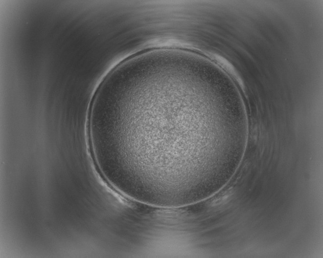 X0000071340863200606261314