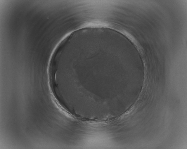 X0000071340864200606261314