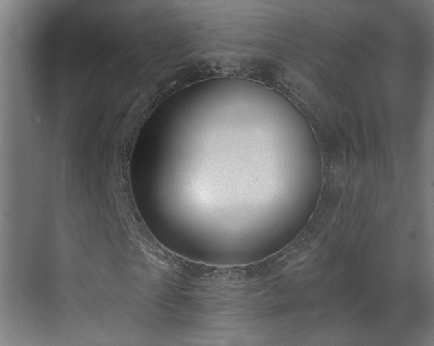 X0000071340865200606261313