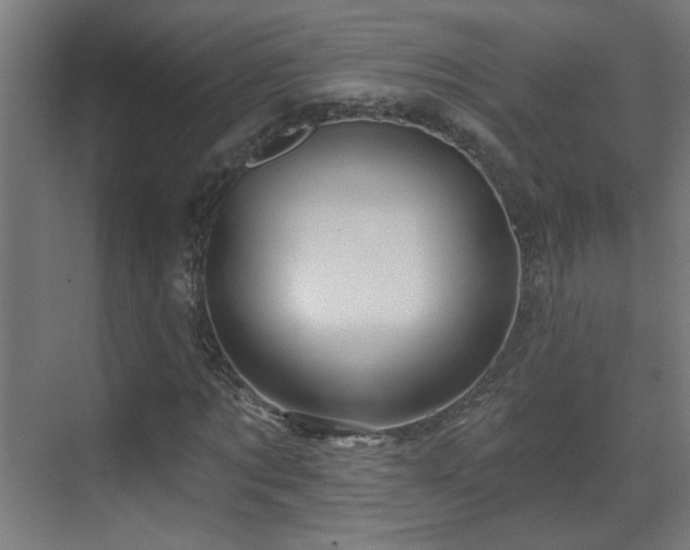 X0000071340869200606261313