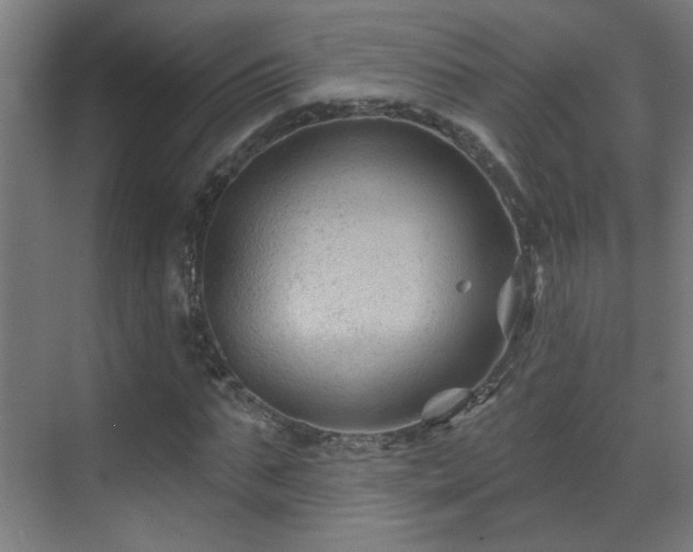 X0000071340871200606261313