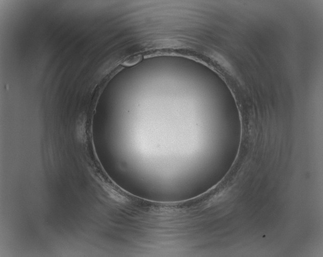 X0000071340873200606261313