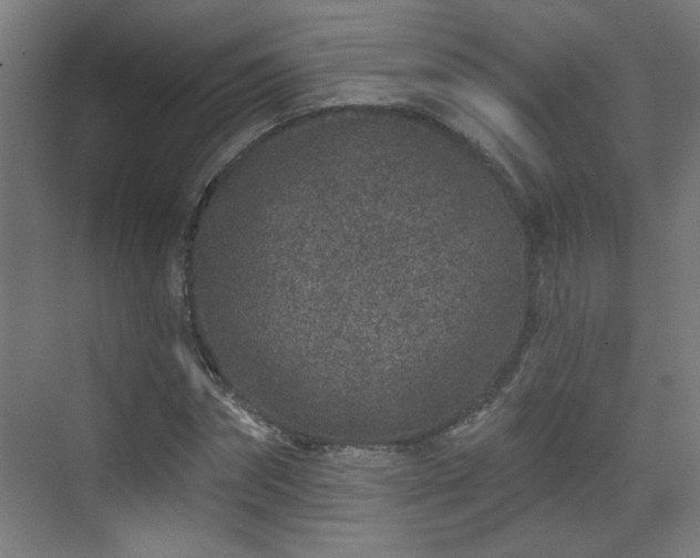 X0000071340874200606261313