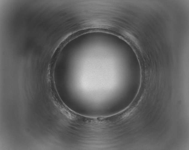 X0000071340875200606261313