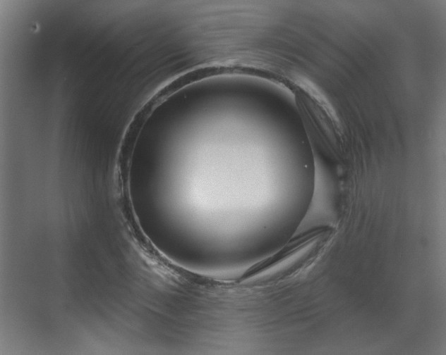 X0000071340876200606261313